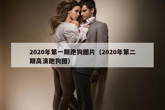 2020年第一期跑狗图片（2020年第二期高清跑狗图）